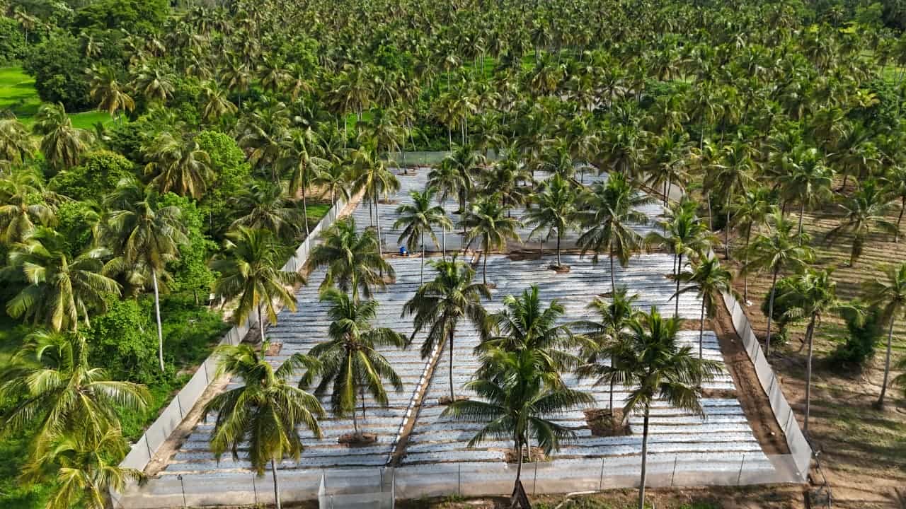 Agriculture & Farming